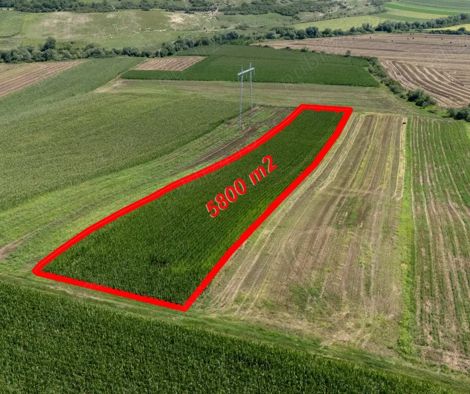 Teren agricol de vânzare