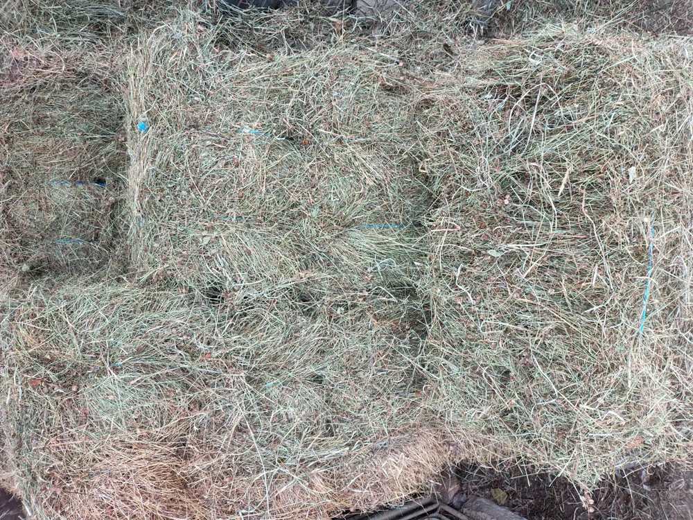 Vând   baloți de fan !