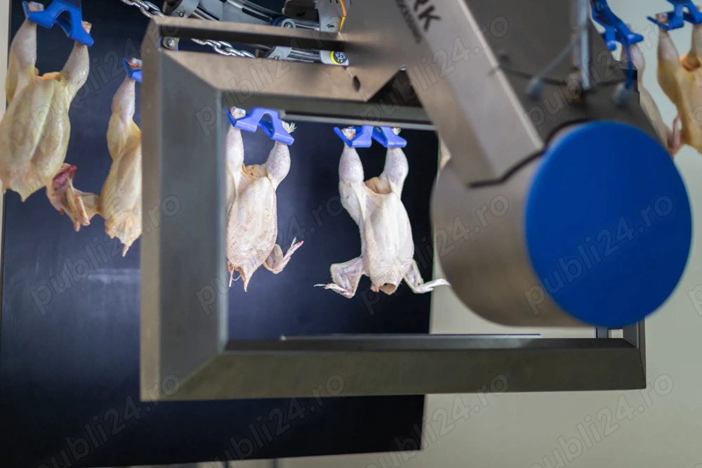 Muncitor necalificat abator păsări