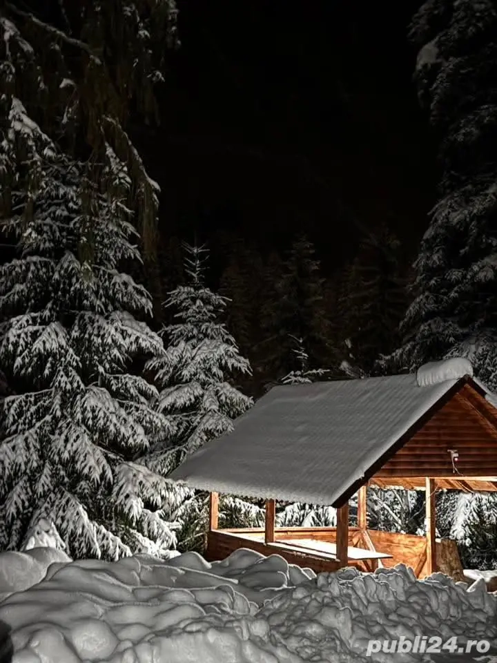 Cabana Stan Arieseni de închiriat!