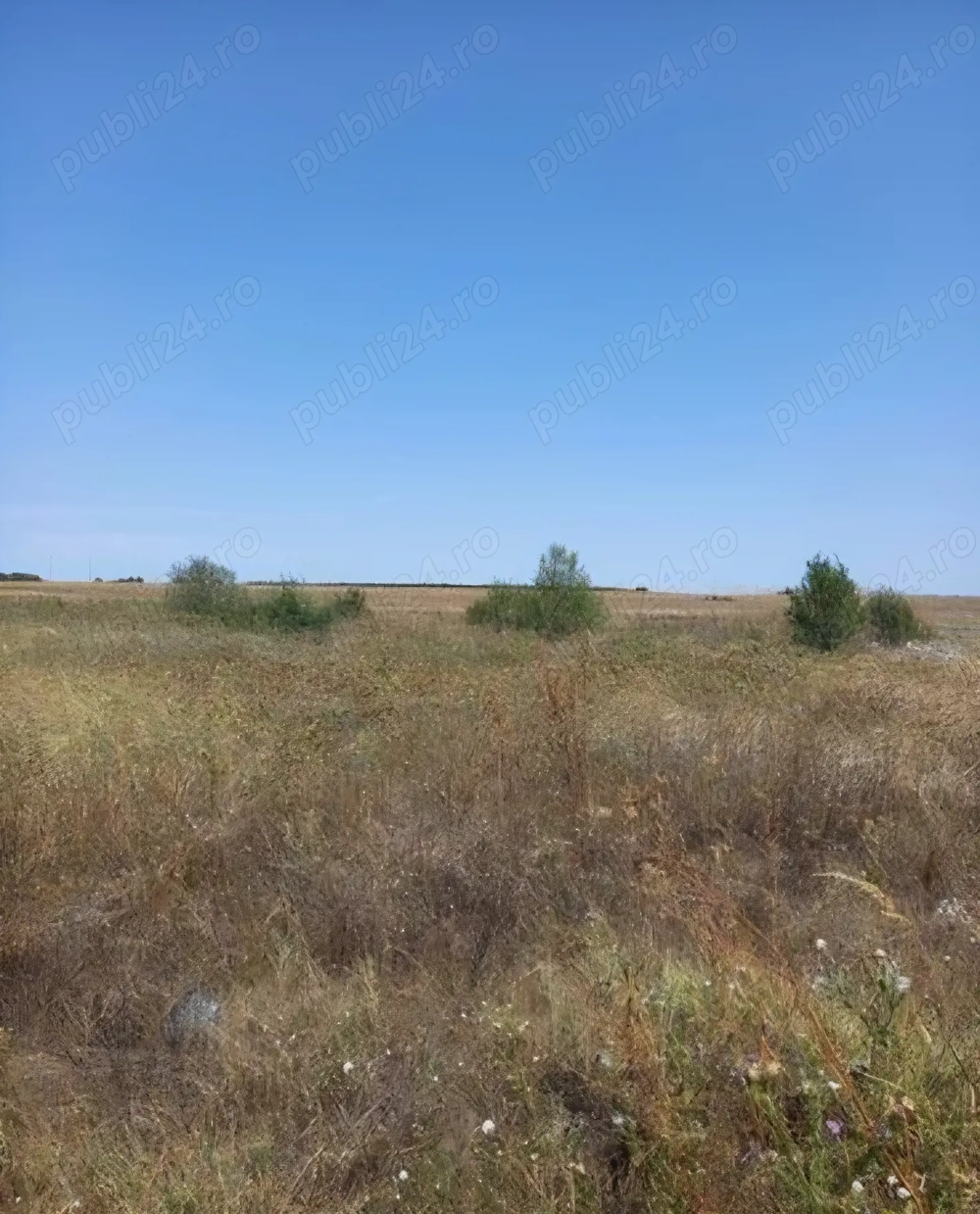 Vanzare teren in comuna Berceni