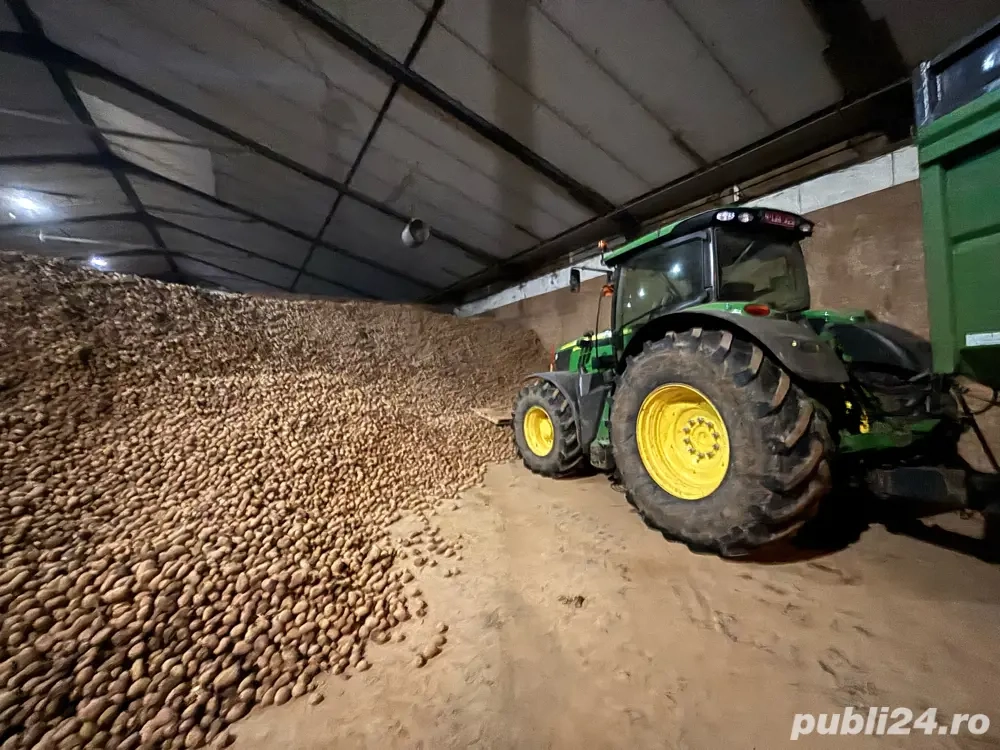 Cartofi premium import Franta | Belgia | Olanda si Germania 