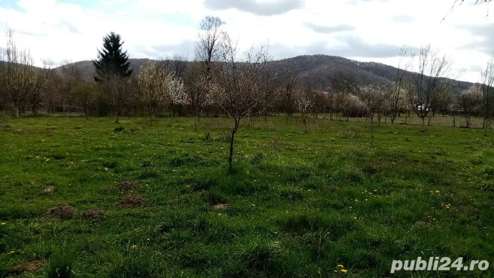 Vânzare teren intravilan