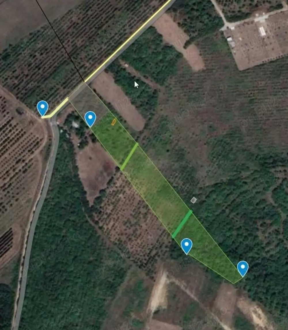 Teren in Saldabagiu de Munte 