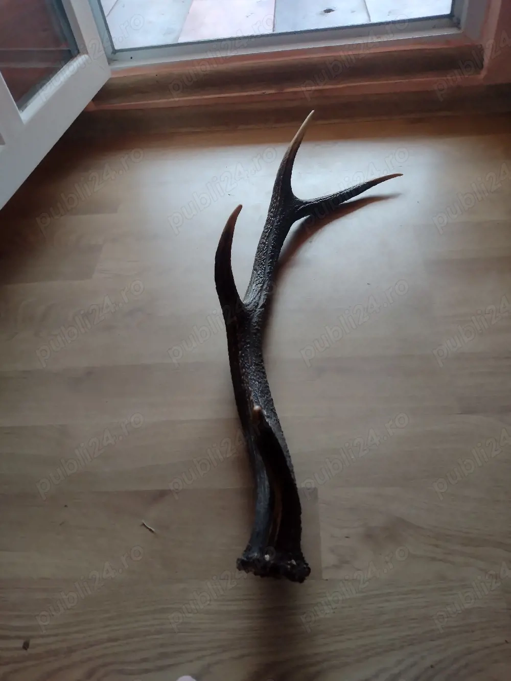 vand CORN  cu  4 raze 90 cm