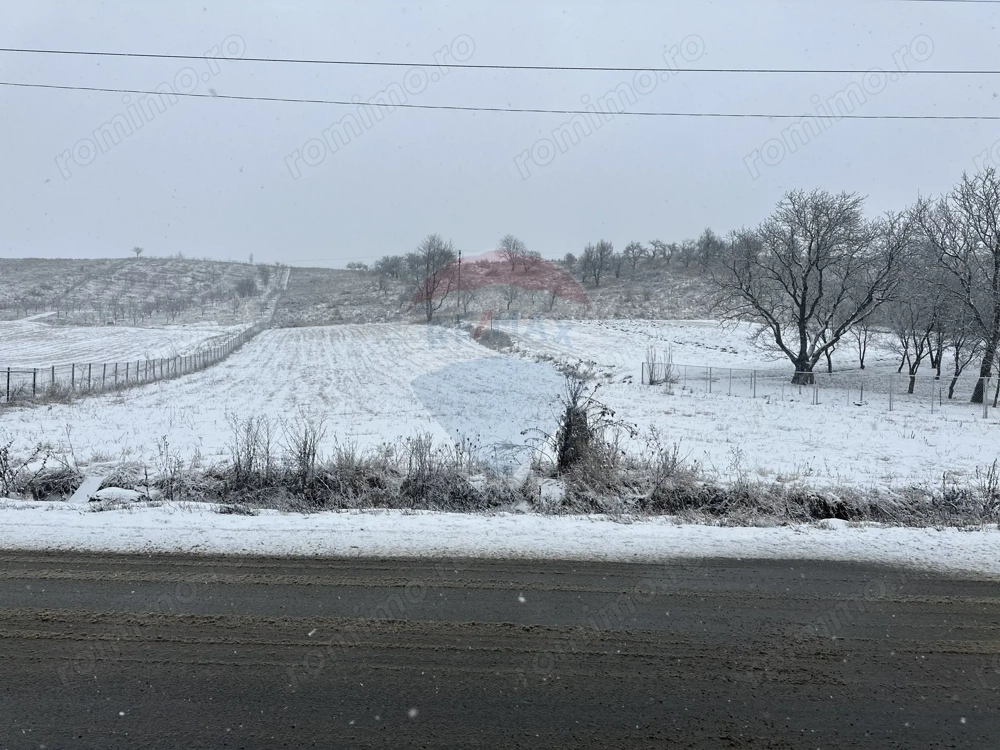 Teren 8,300mp Negresti (Dobreni) / Drumul DEALUL OTEL