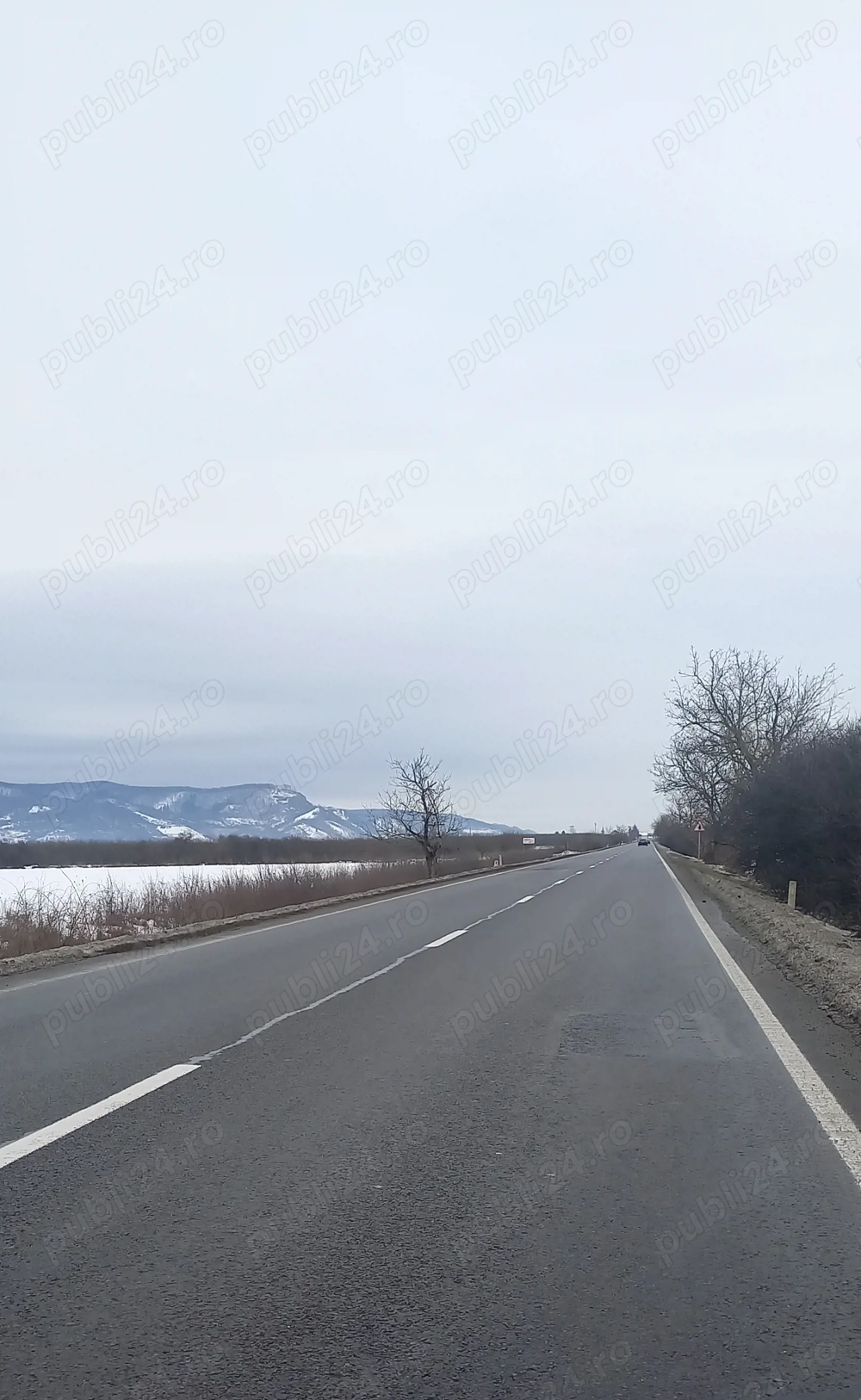 De vanzare teren extravilan cat. de folosință Livadă 