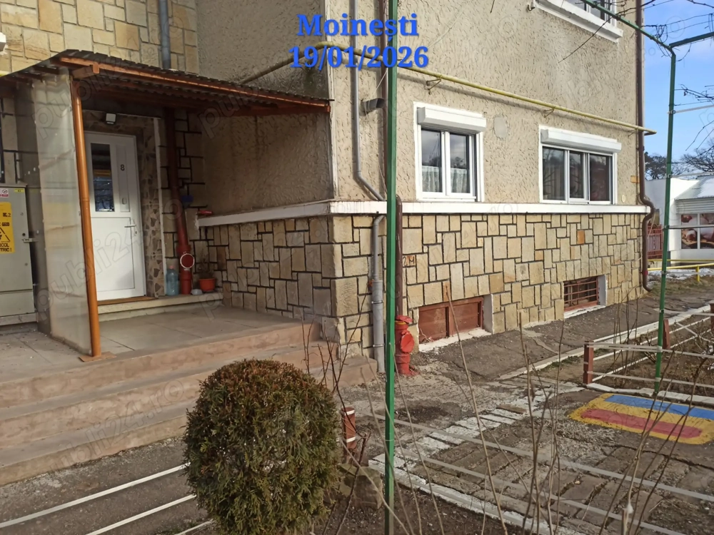 MOINESTI - Apartamenti de vanzare în Locaţie Lucacești 