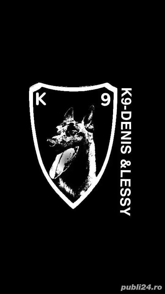 servicii dresaj canin