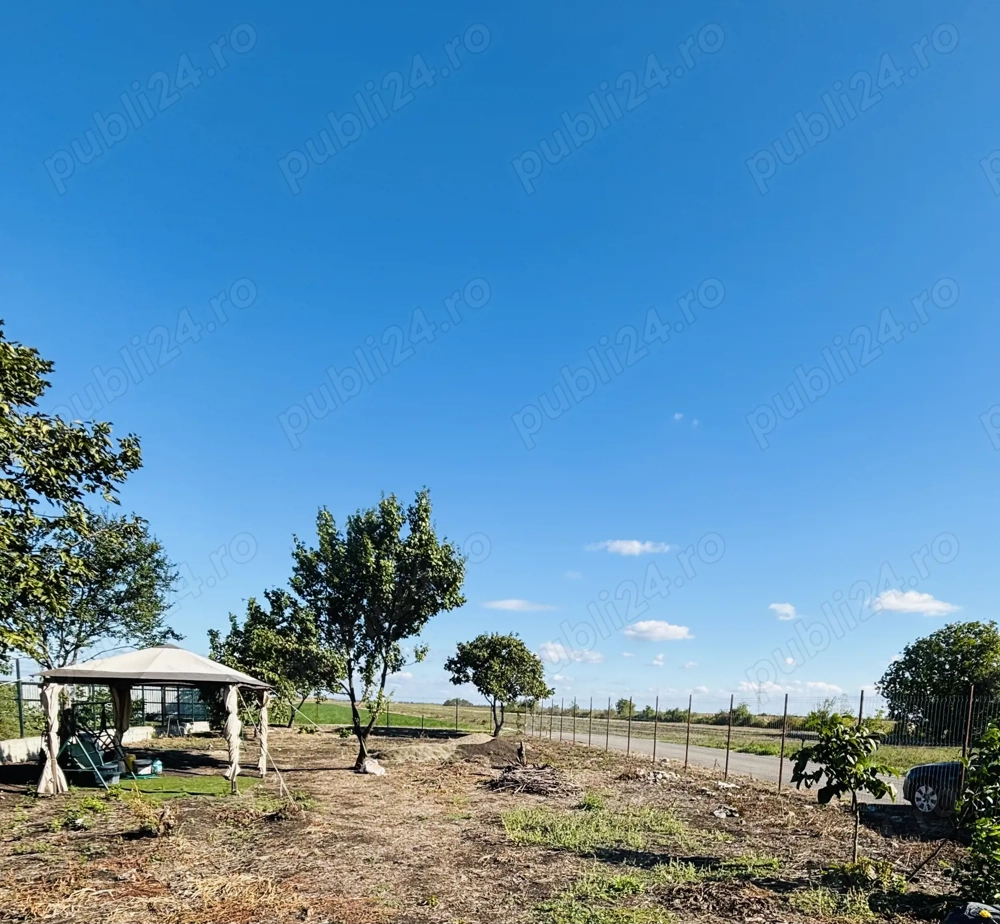 Teren Petresti Vanatori 607mp 