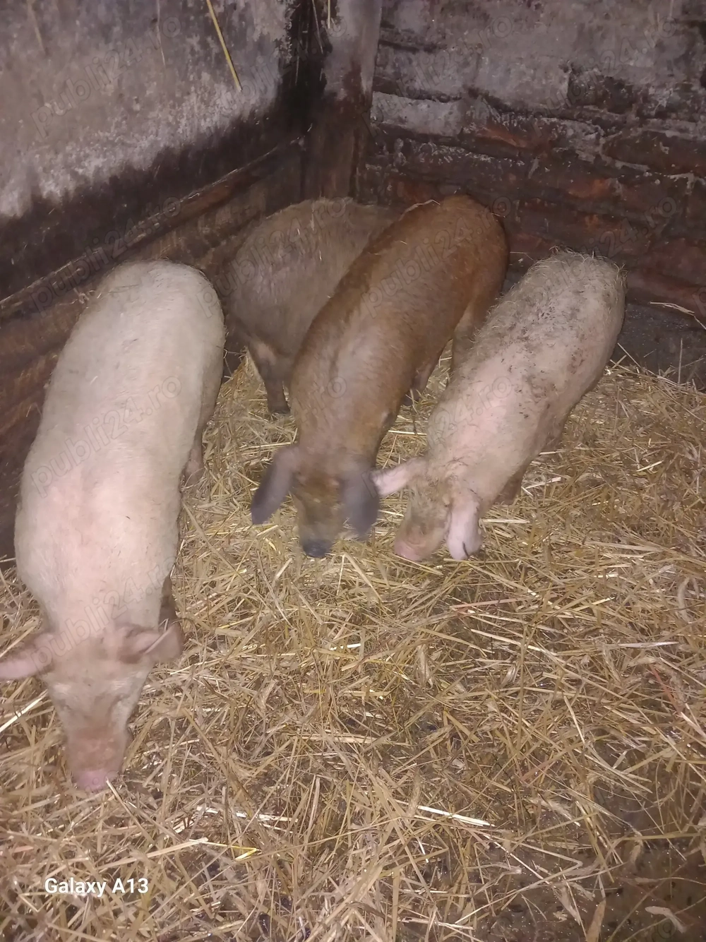 De vanzarevistea de sus