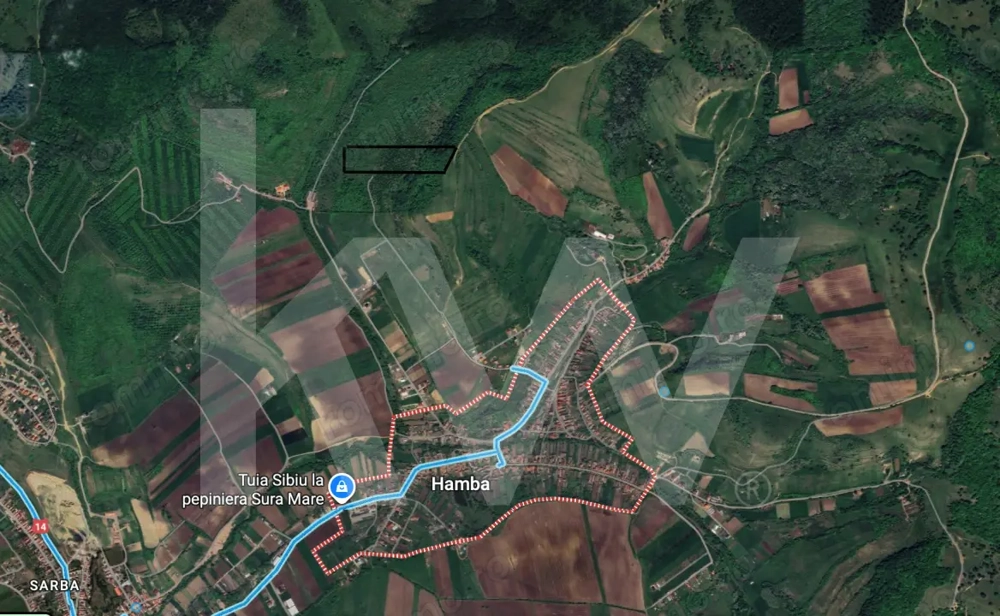 Teren Extravilan de vânzare, Hamba (Sibiu), 38.400 mp (3,84 ha), Pret competitiv