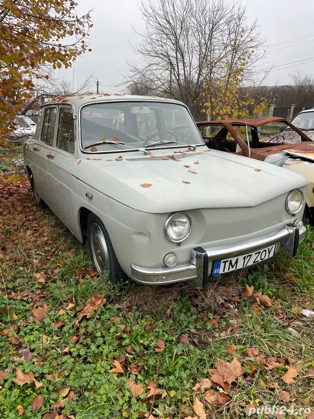 Dacia 1100 1971