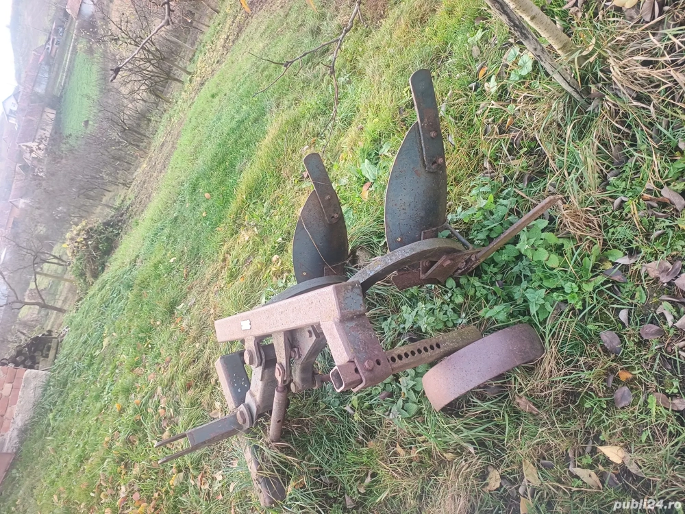 Vând plug două trupițe. 