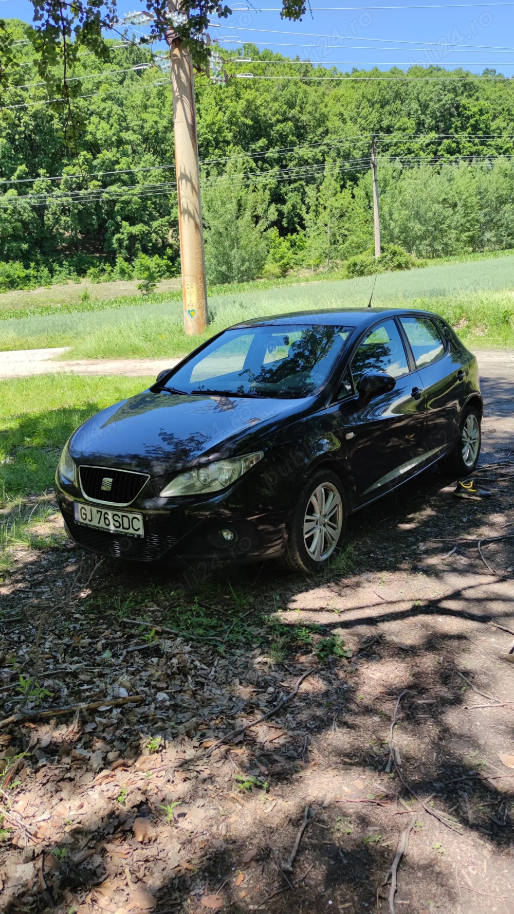 Seat Ibiza IV   2009   1.4 mpi