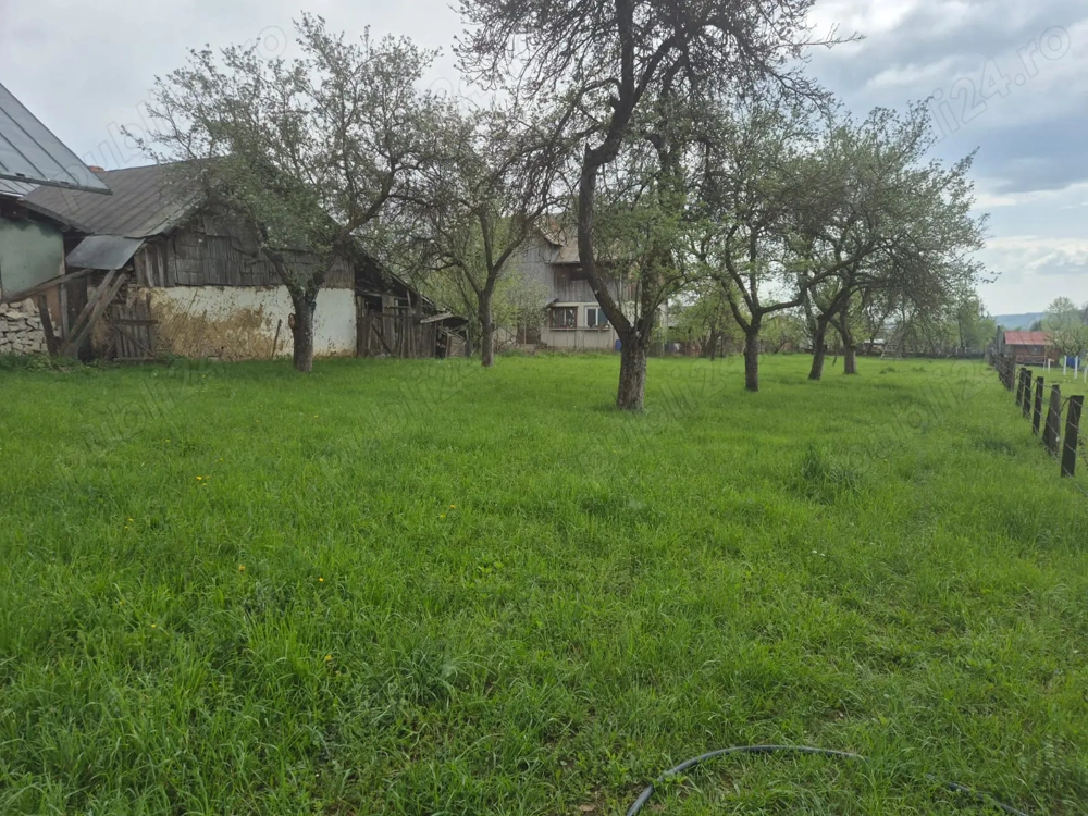 teren breaza - podul corbului - de vânzare - 2 loturi de vânzare 