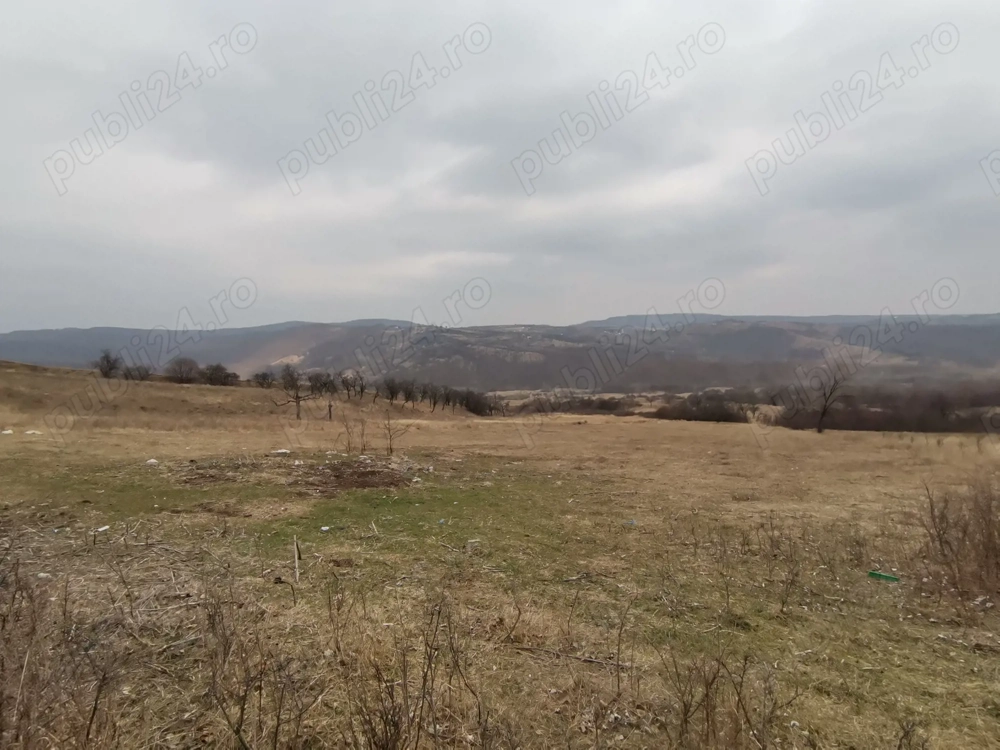 Vând Teren Dănulești, Jud. Buzău 9700 mp