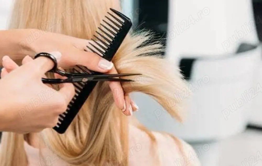 angajare stilist coafoafor