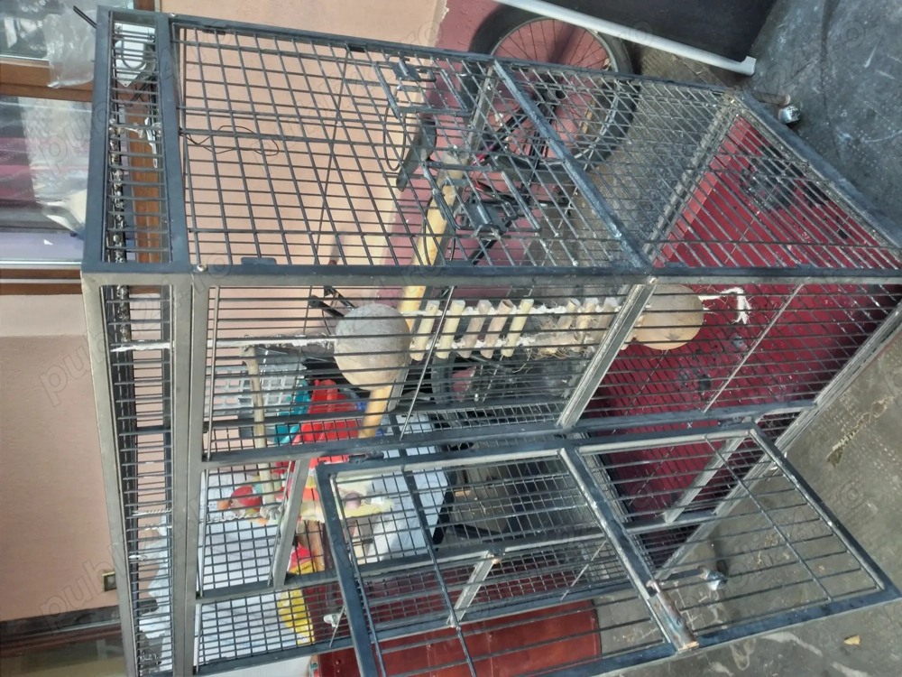 Colivie papagal de vanzare