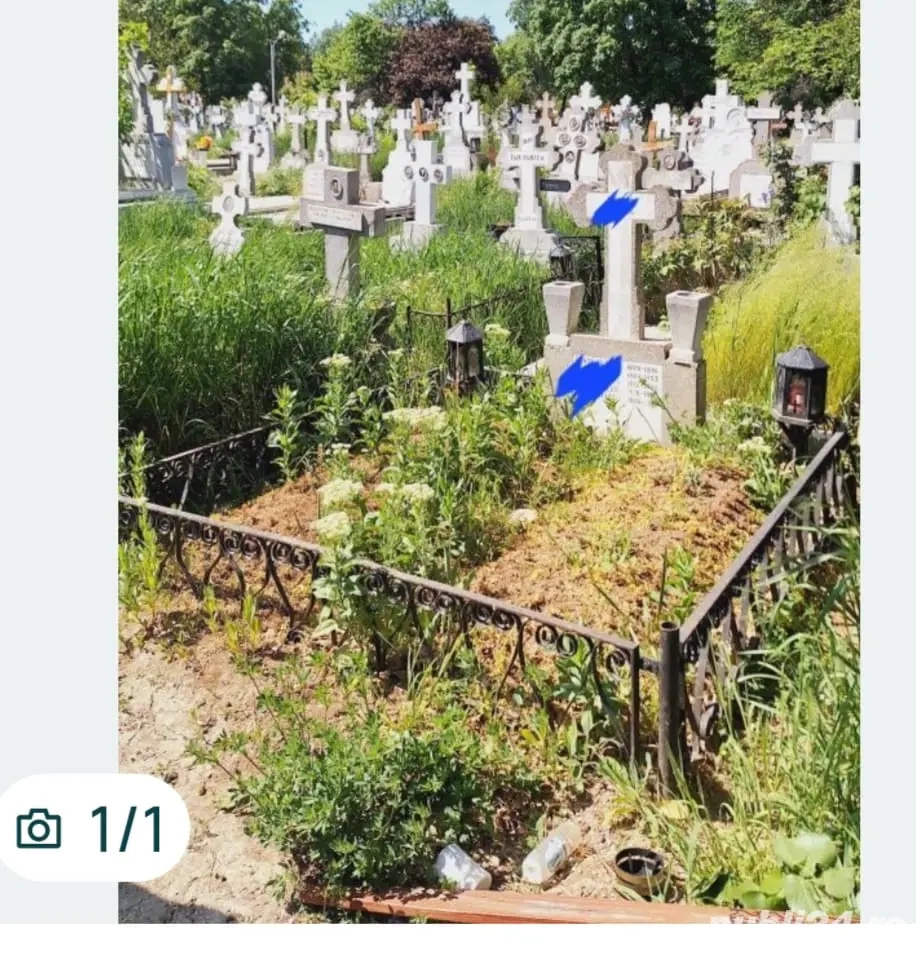 concesionez loc de veci Ghencea civil