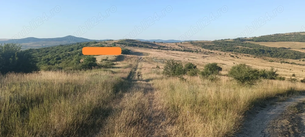 Teren extravilan ,suprafața de 4000  mp (40  ari)zona Motocros  Cighir