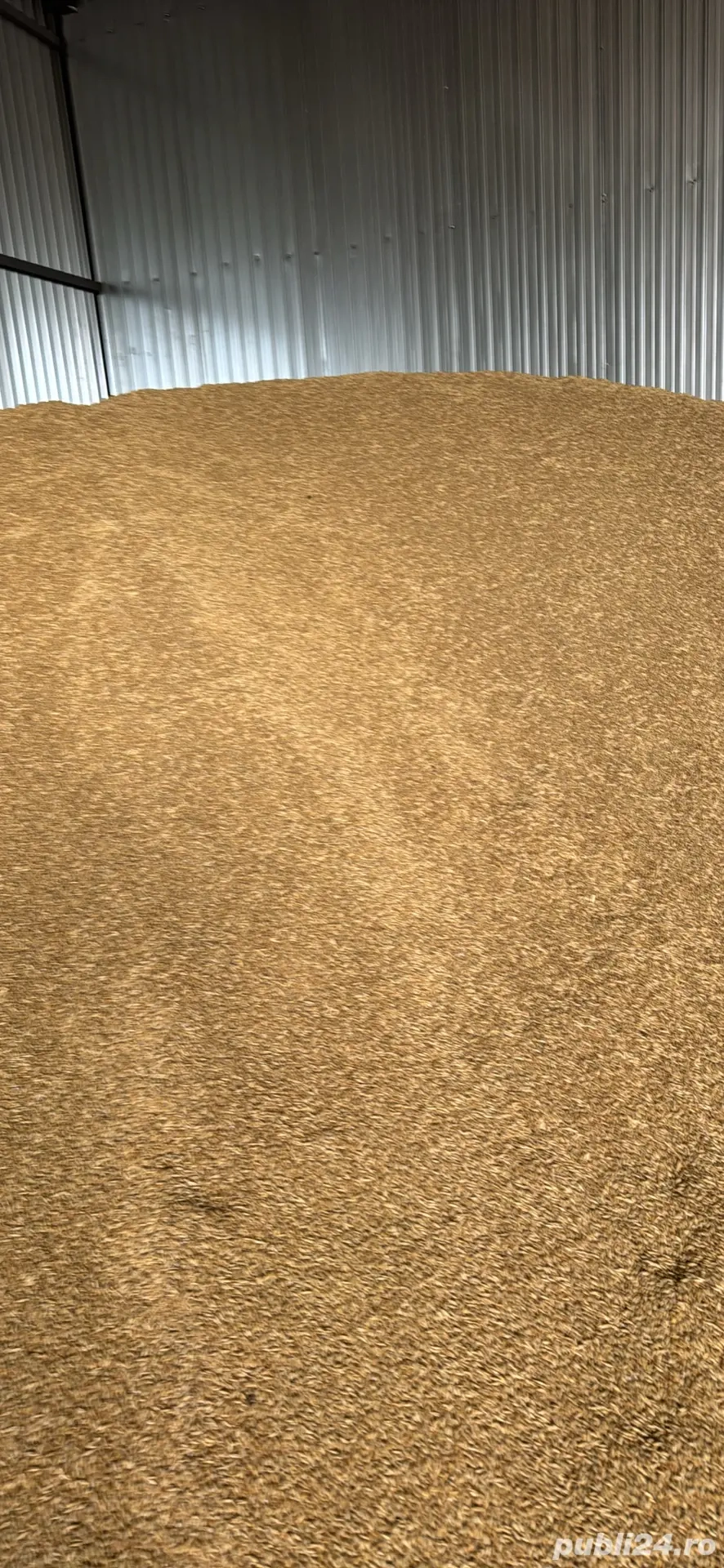 Vând orz de toamnă prod 2025