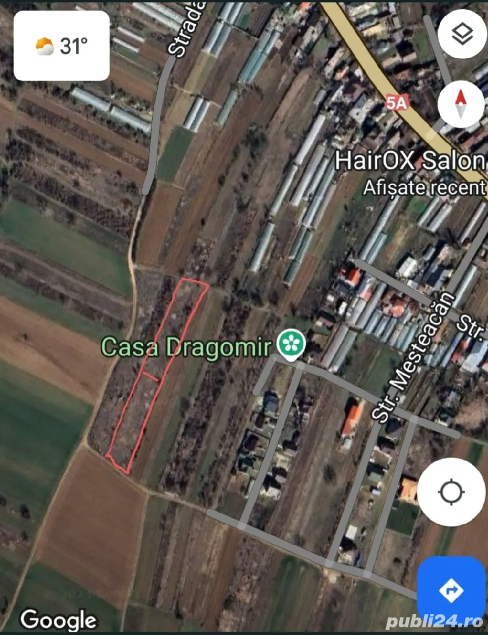 Teren intravilan Adunatii Copăceni 