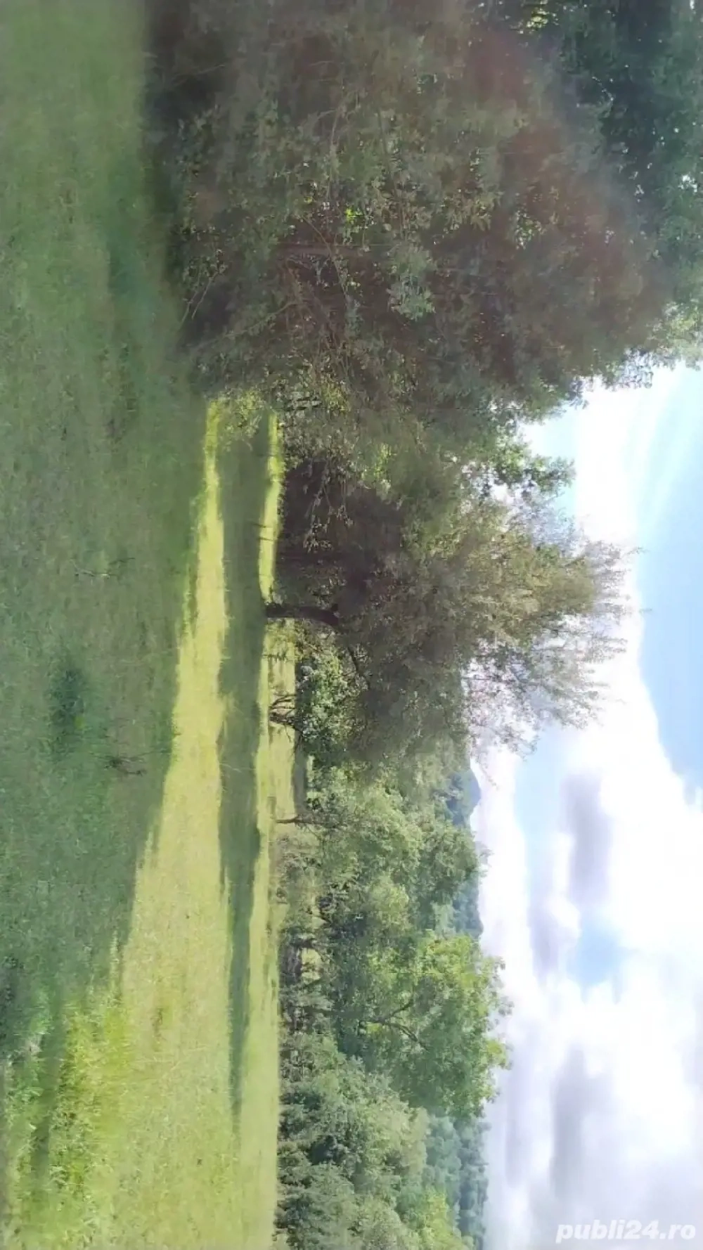 Teren extravilan Sisesti de vanzare71arii