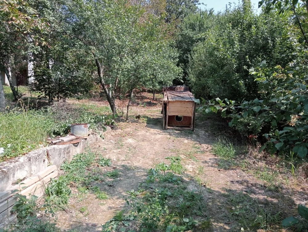 Terén cu livada sí vita de vie