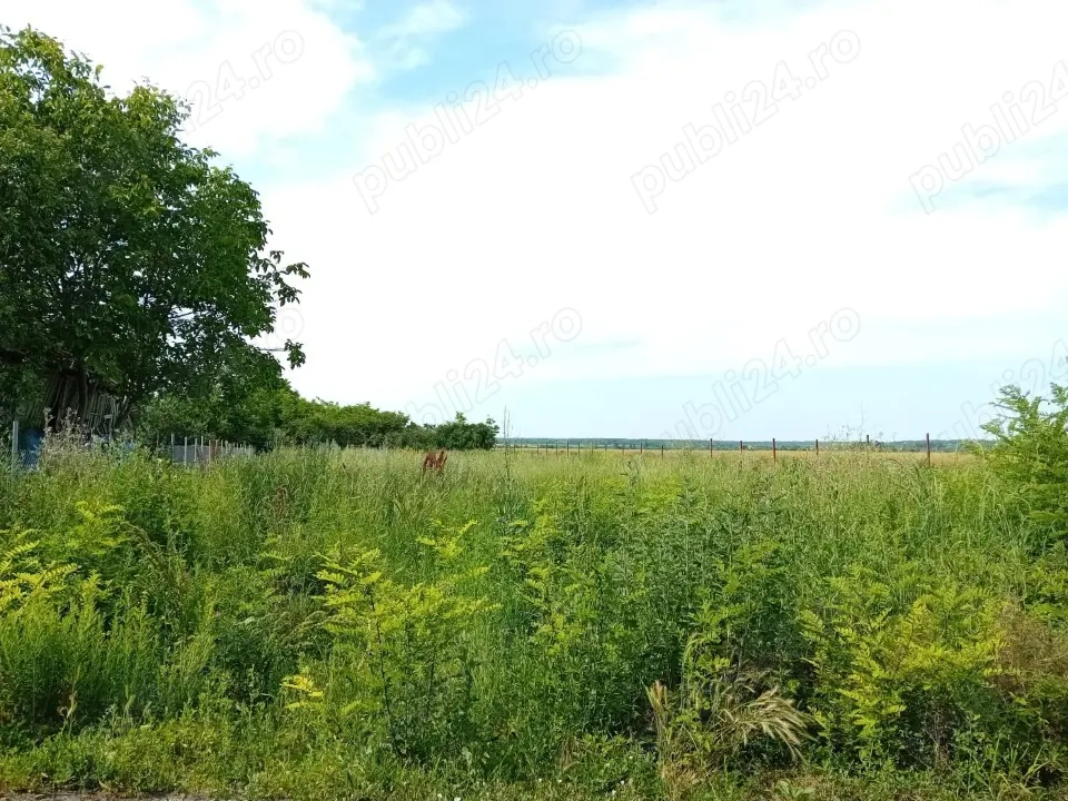 Teren intravilan Com. Sirna, sat Tariceni