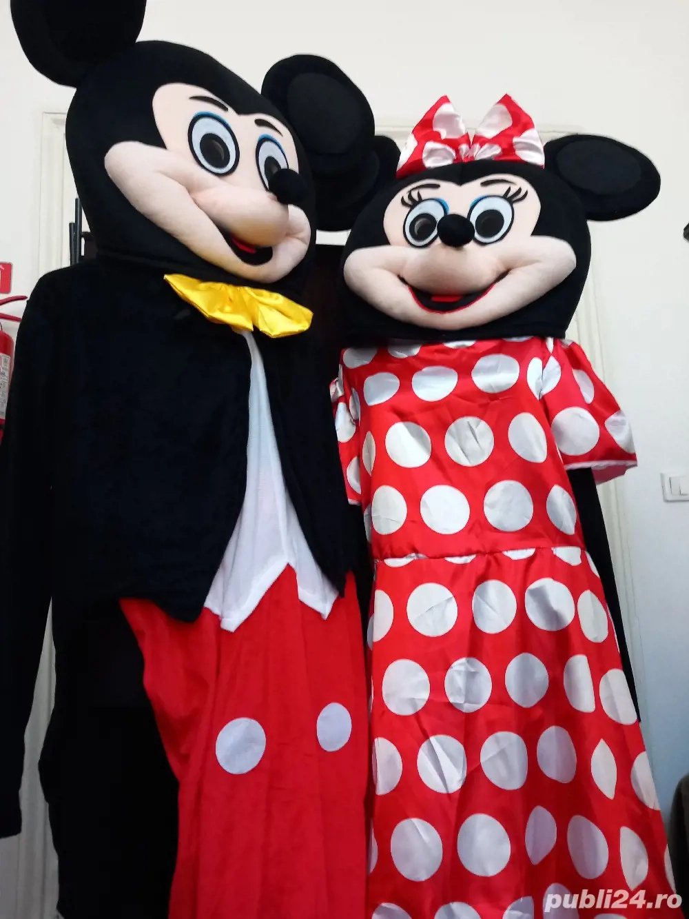 costume printese si cavalieri ,carnaval de închiriat 