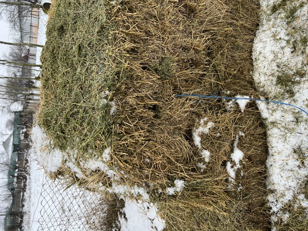 Vând baloți lucernă 2025