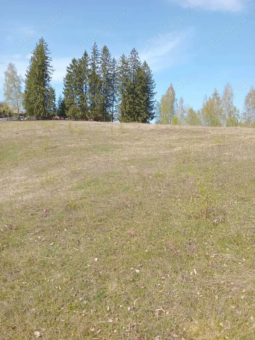 Teren de vânzare, Tarsa, Hunedoara