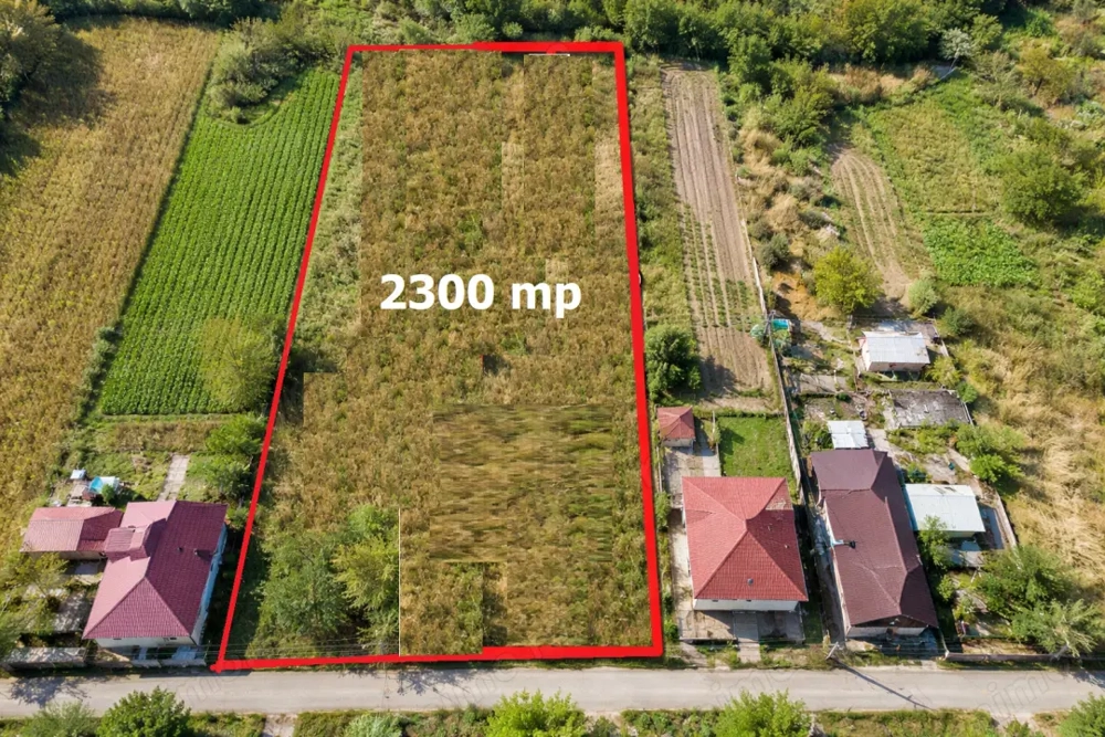 Teren intravilan Comana 2300 mp Front 12,5 m Comision 0%