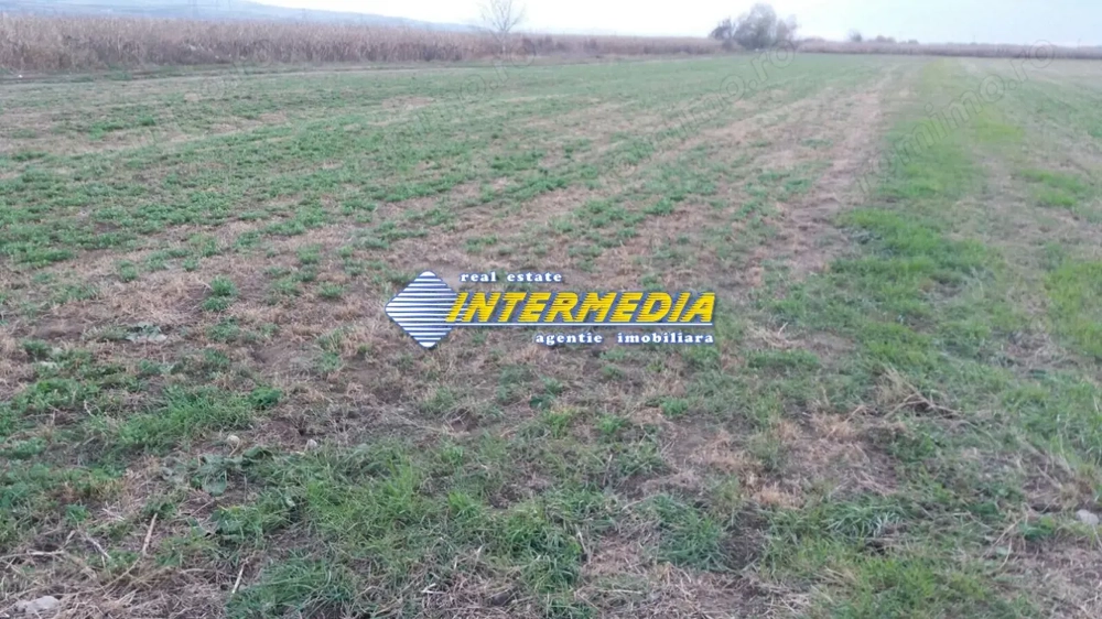 Teren Intravilan 5000 mp Zona Soseaua de Centura, Alba Iulia