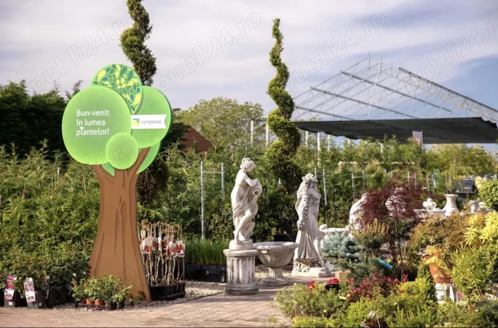 Angajam Muncitori Calificati Necalificati