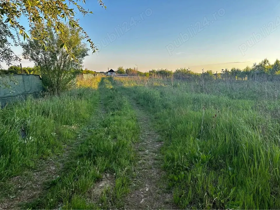 Teren 43 Ari - Amati - Intravilan - 59.000