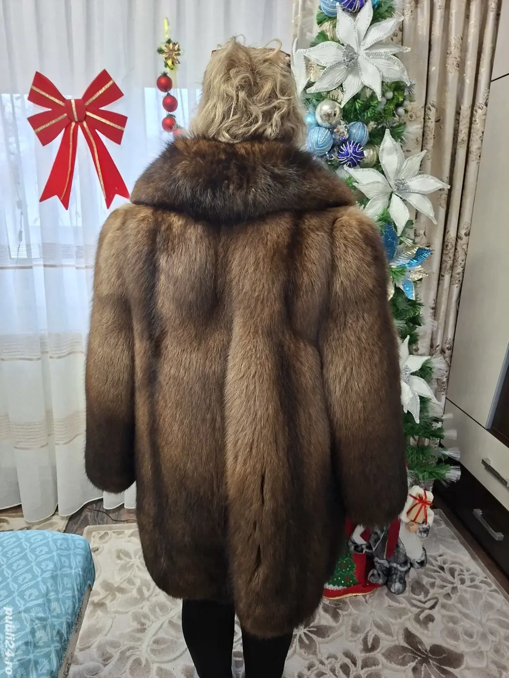 Haina dama vulpe polara