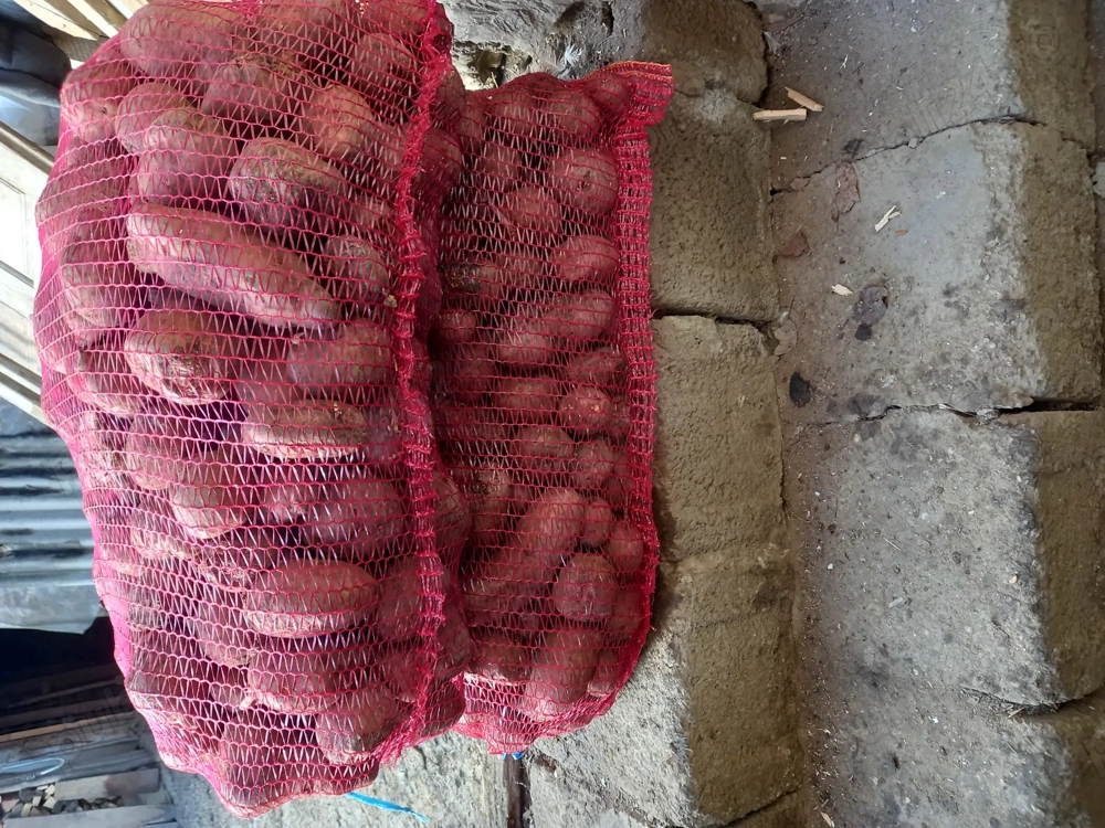 Cartofi pentru animale