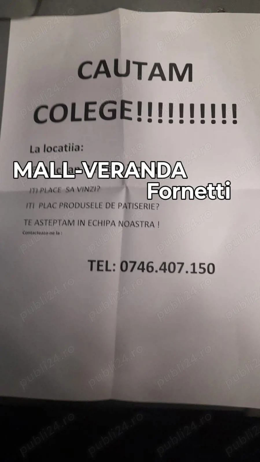 Cautam colega la fornetti în București sector 2