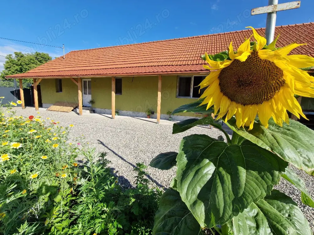 Casa (Mobilata si Utilata) in Vama Buzaului