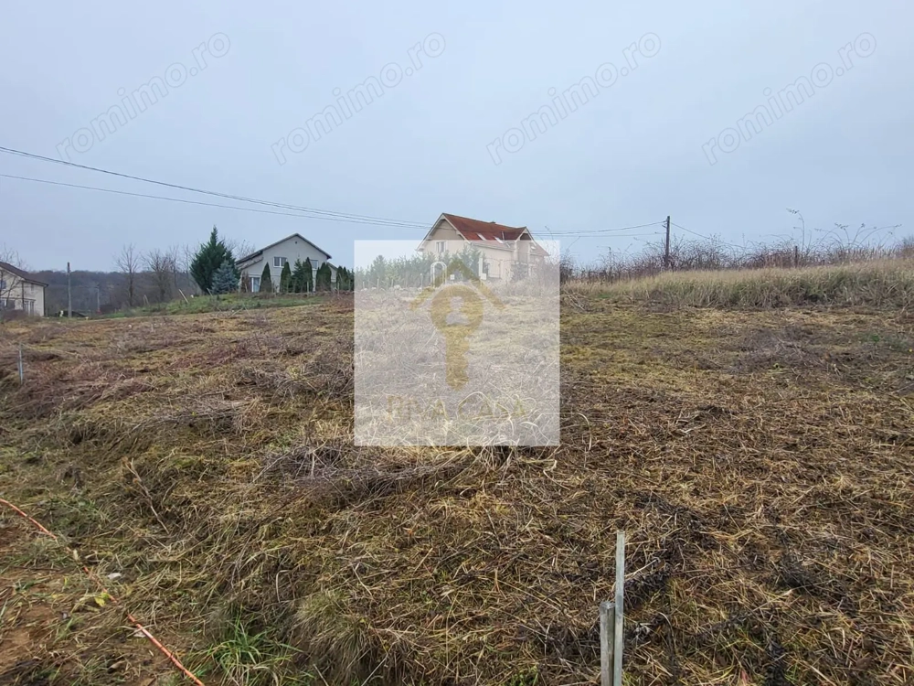 Teren extravilan Paleu