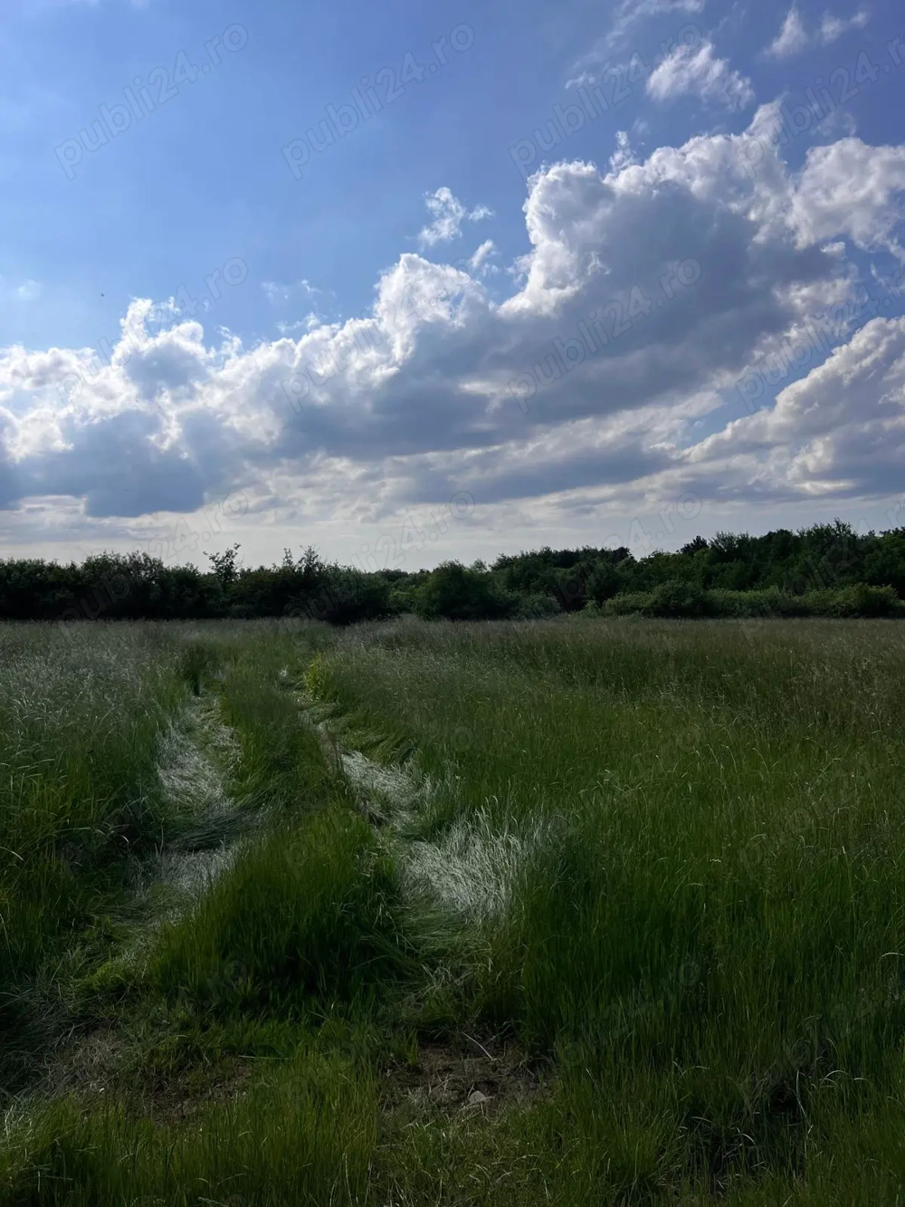 Teren 3507 MP- Zona Rezidentiala - Aeroport - Maramures