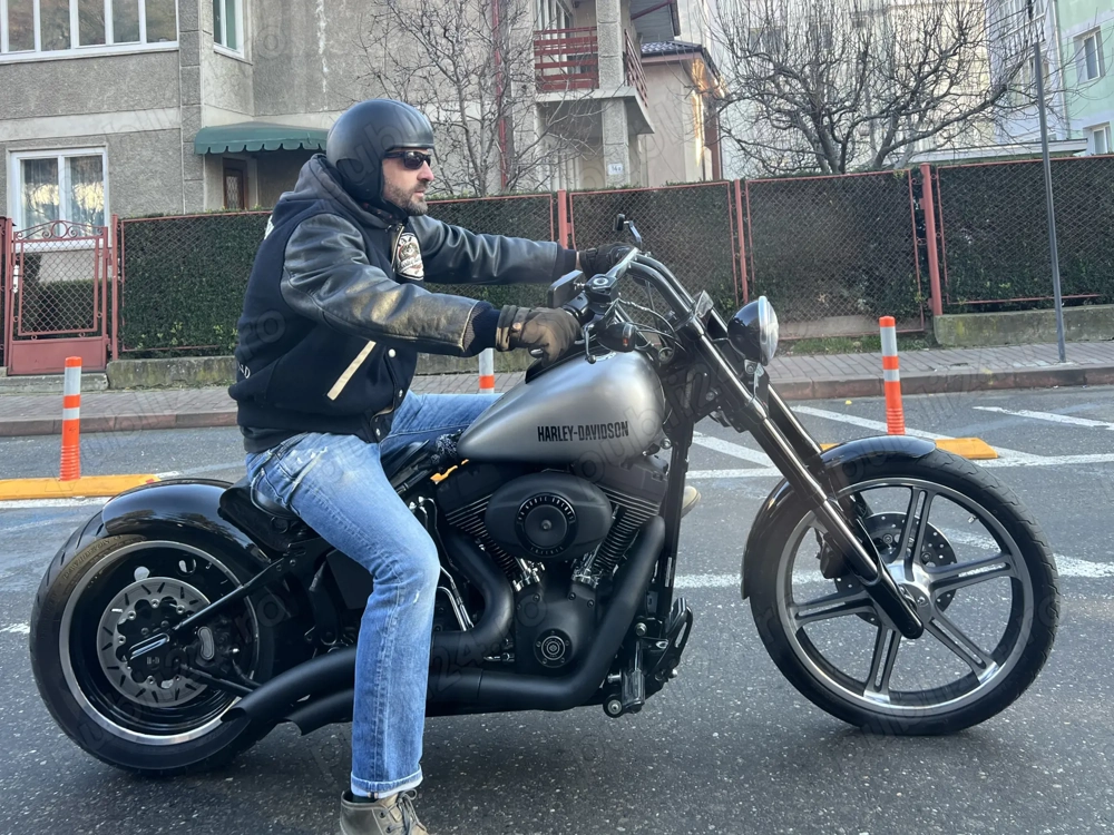 Harley davidson softail night train custom 2007