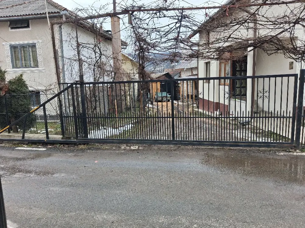 vand poarta intrare curte