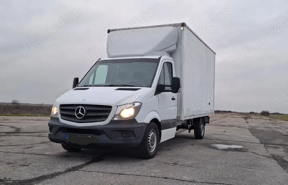 Mercedes Sprinter 313