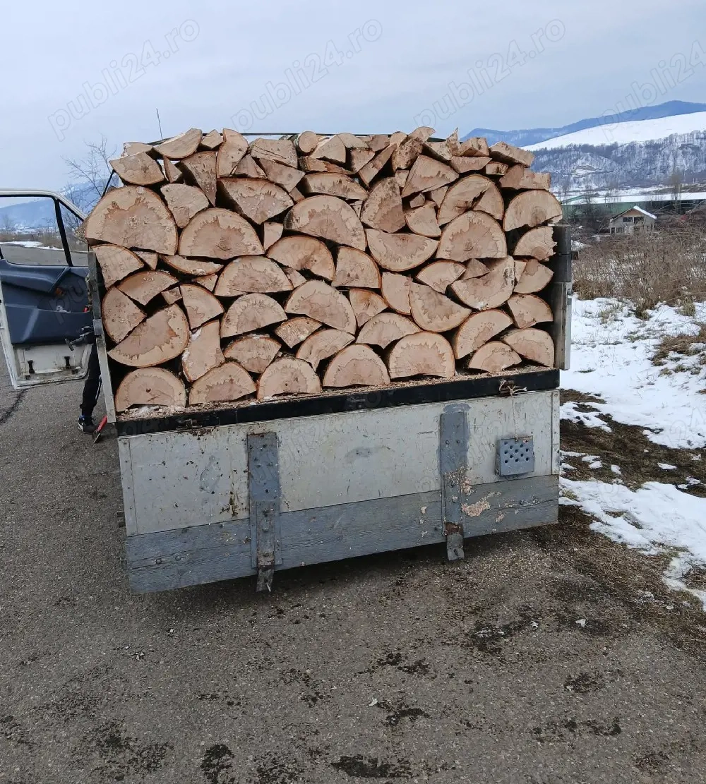 Vand lemne de fag!!!