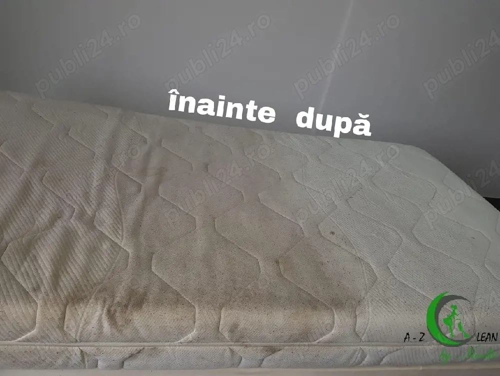 Servicii de curatare profesionala tapiterii,covoare