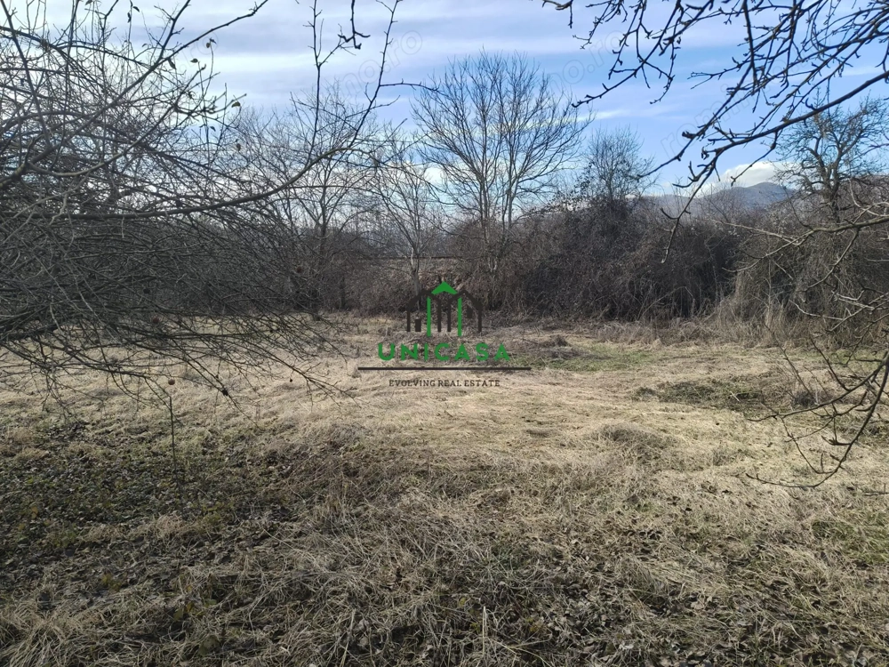 Teren Daesti / 814mp