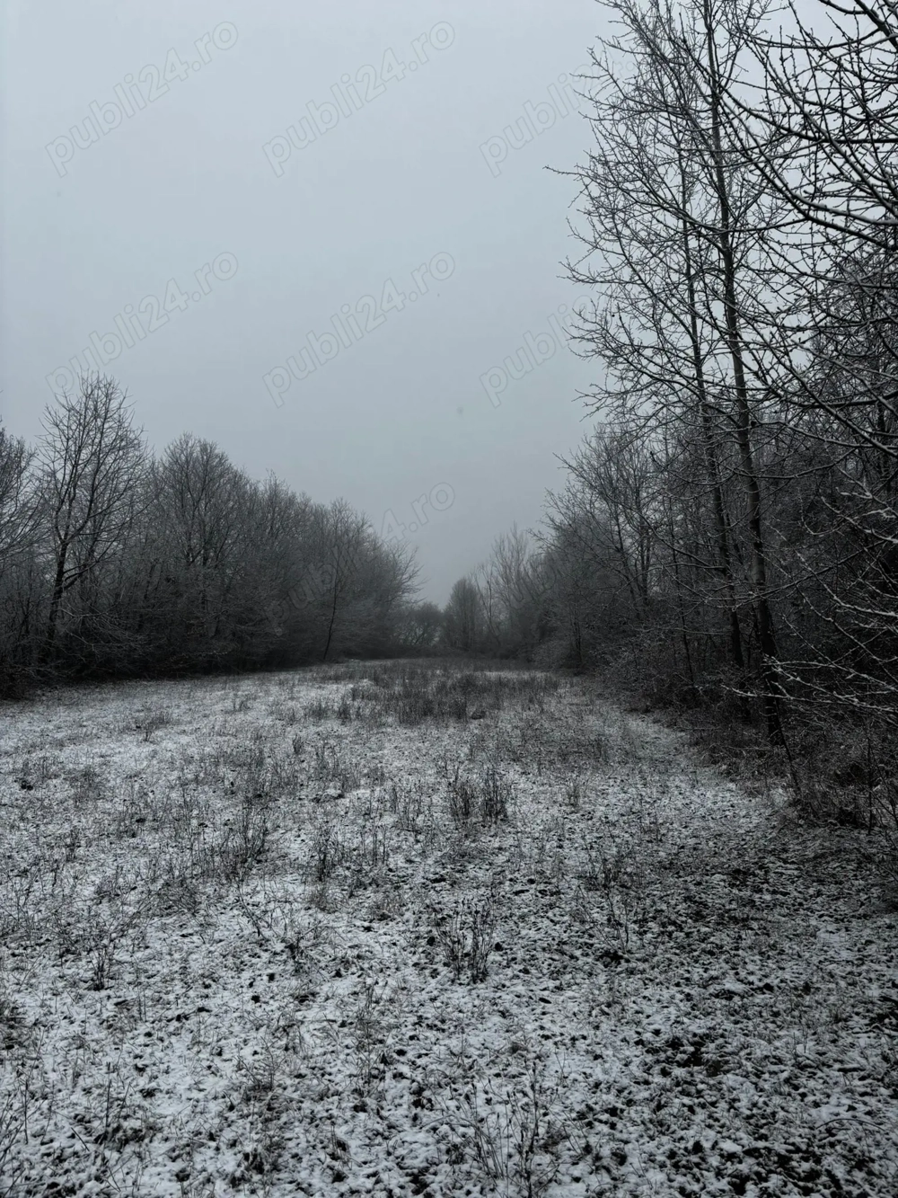 Vând teren intravilan Urleta